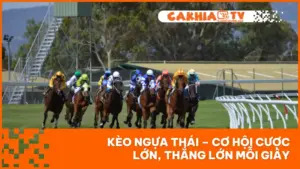 Kèo Ngựa Thái – Cơ Hội Cược Lớn, Thắng Lớn Mỗi Giây